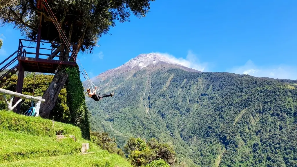 Baños - Casa del Arbol