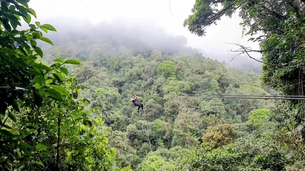Mindo - Ziplining
