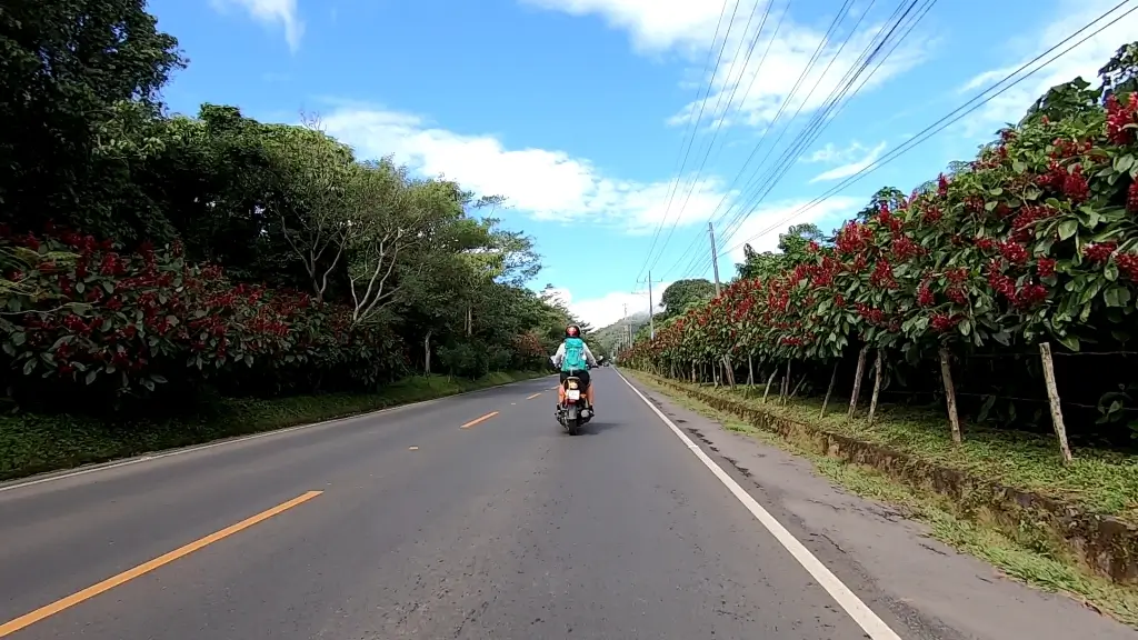 Ruta de Las Flores