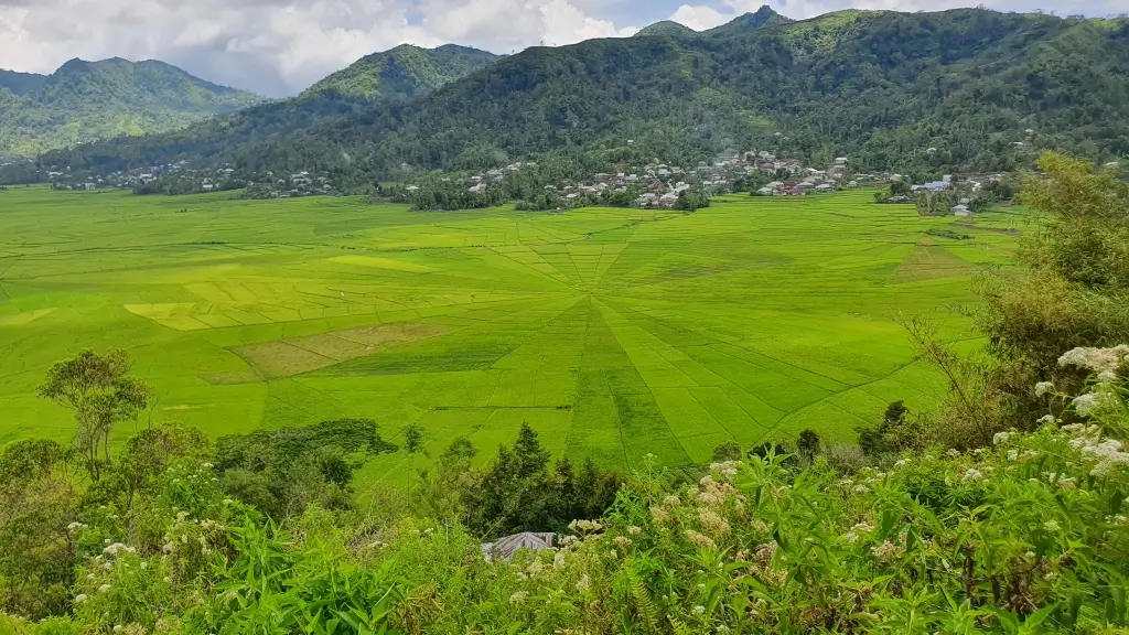 Spider Rice Fields - Flores