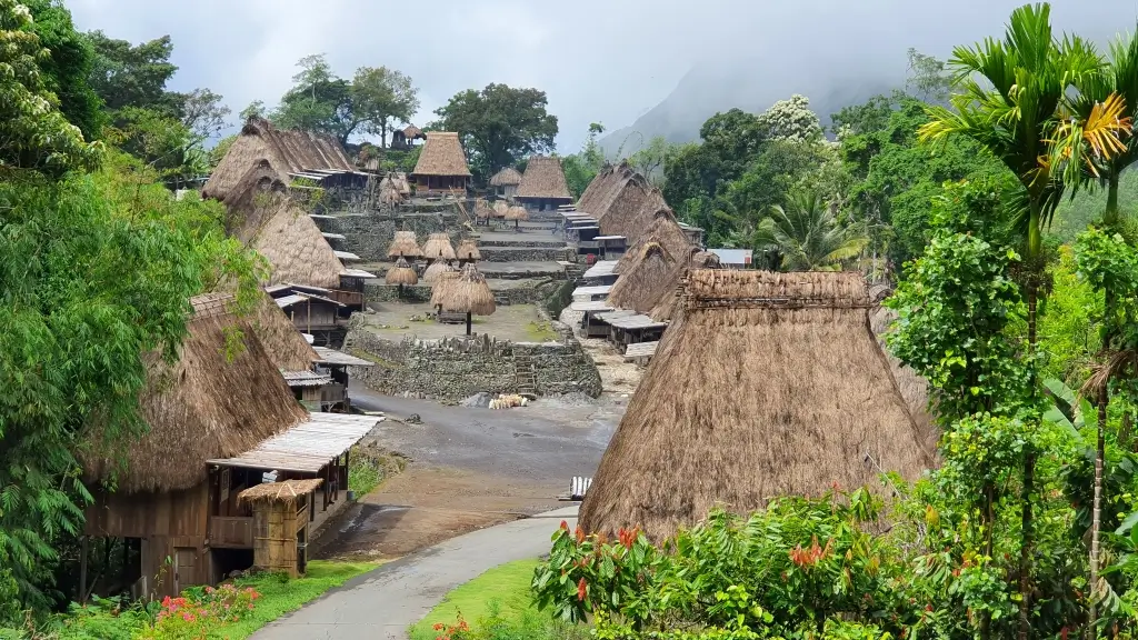 Traditionelles Dorf Bajawa - Flores