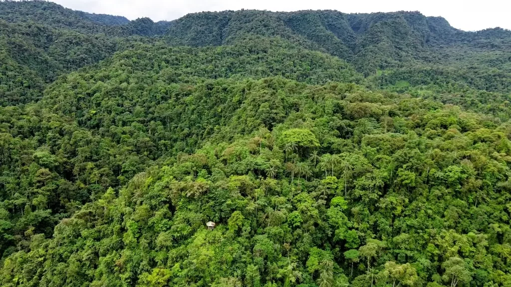 Ecuador-Mindo-Nebelwald-3
